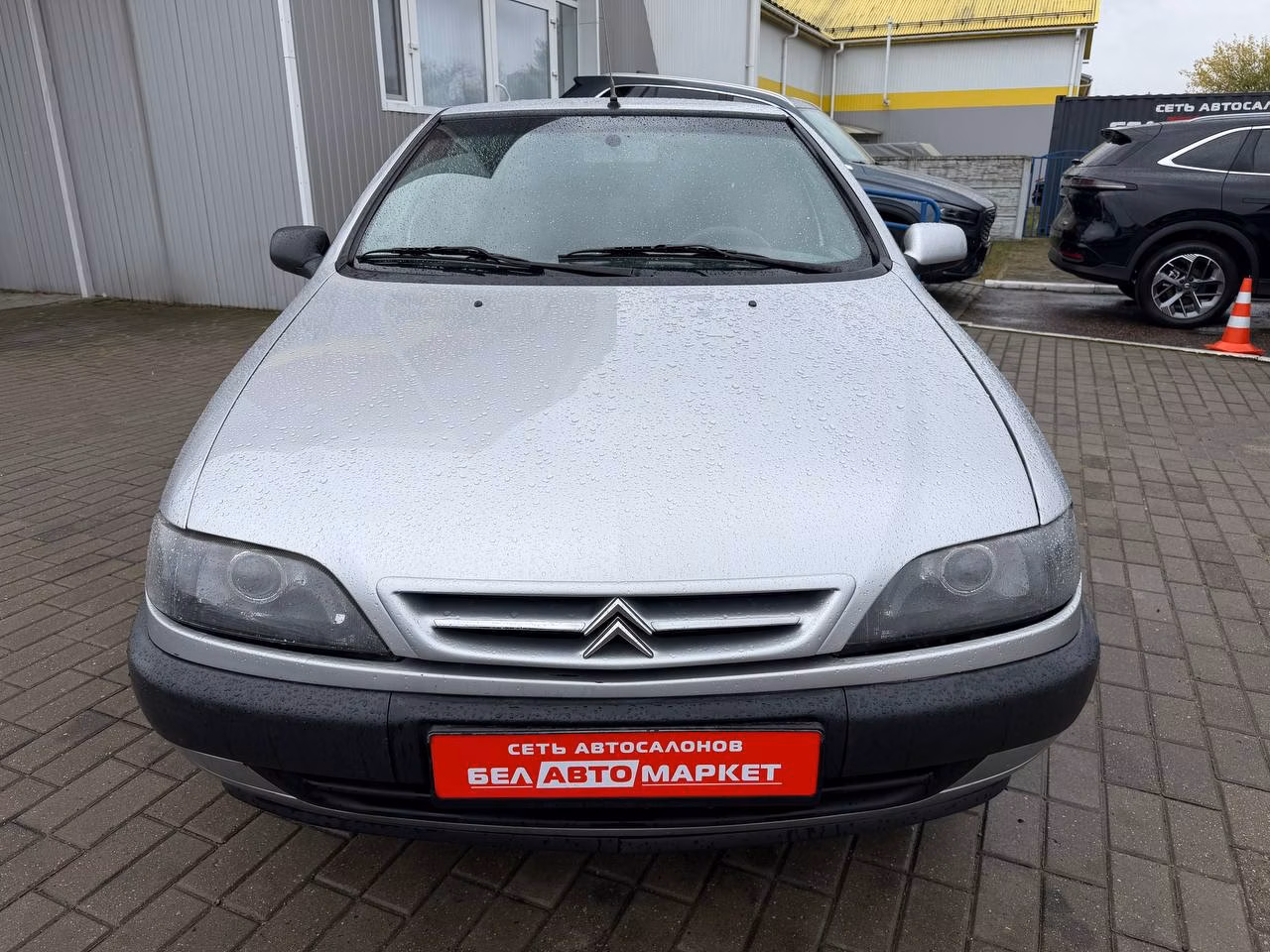 Citroen Xsara фото 2